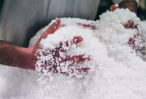 Main d'un salaisonnier dans le sel