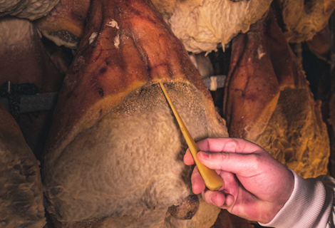 Main d'un homme faisant un sondage de maturité du jambon de Bayonne