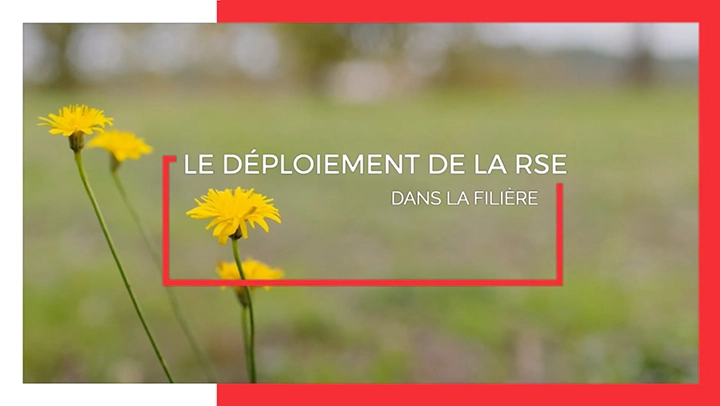 Fond de vidéo RSE du jambon de Bayonne