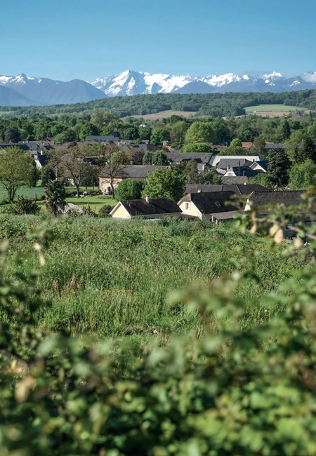 Village basque devant une prairie